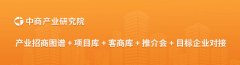 头部企业通过国际化扩张、手艺取资本整合建立