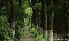 <b>上海普陀中鹰黑丛林售楼处德律风☎：【开辟商</b>